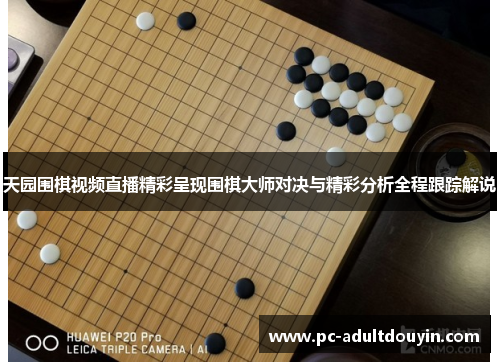 天园围棋视频直播精彩呈现围棋大师对决与精彩分析全程跟踪解说